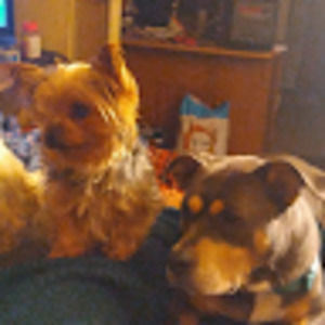 Meet your Posher, Nooney